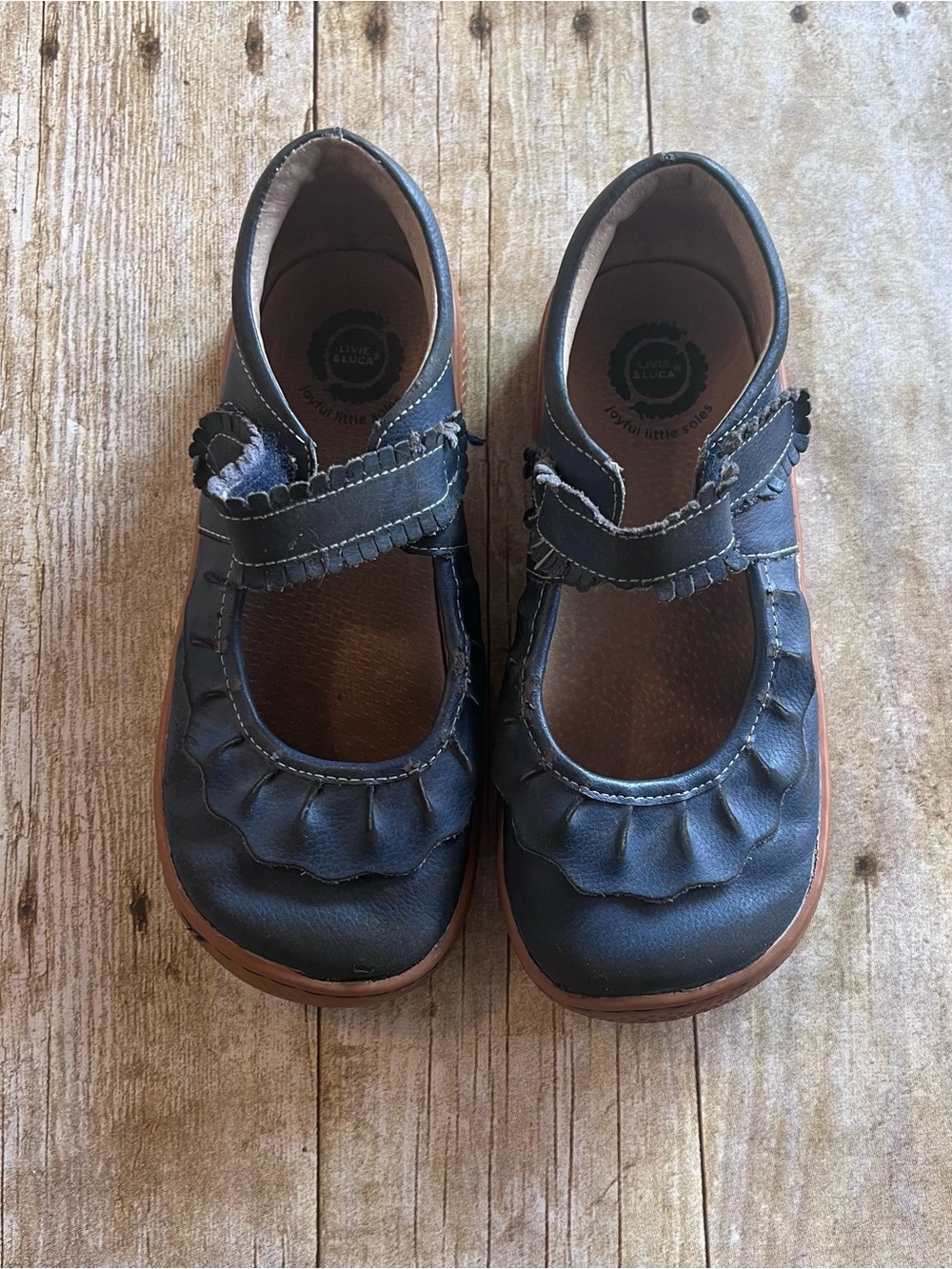 Livie and Luca Navy Ruche Shoes